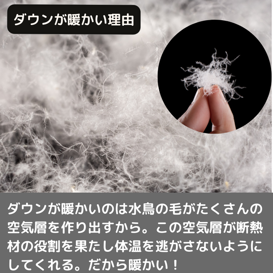 2024年11月のブログ(2) - 小田原市でクリーニングなら柳屋クリーニング店